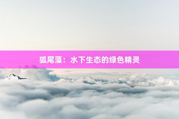 狐尾藻：水下生态的绿色精灵