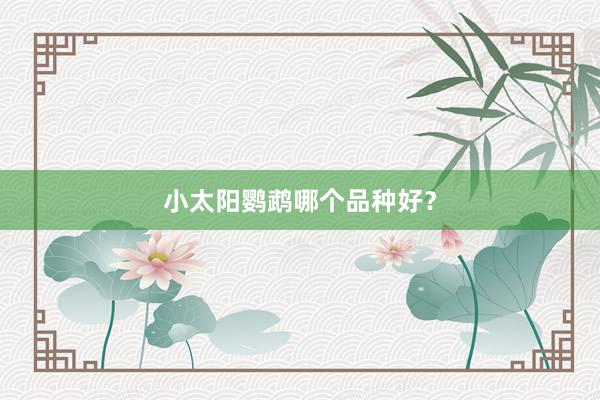 小太阳鹦鹉哪个品种好？